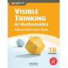 Visible Thinking in Mathematics 1B