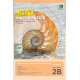 Think! Mathematics New Syllabus Secondary Textbook 2B (8th Edition)